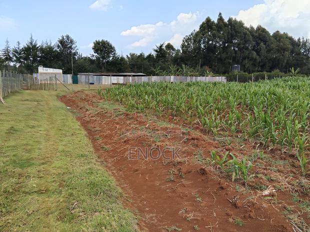 2 Acre Land for Sale With 3bdr Sq in Outspan, Eldoret - thumbnail 10