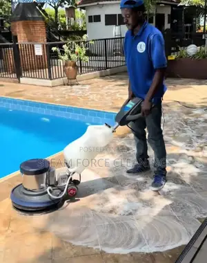 Steam Force Cleaning Services