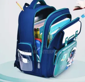Kids School Backpacks With Back Cushion