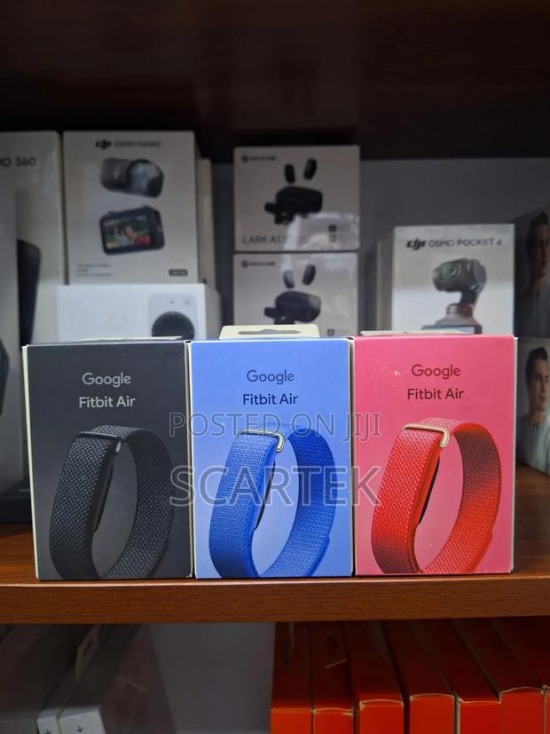 Google Fitbit Air