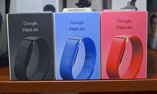 Google Fitbit Air - thumbnail 2