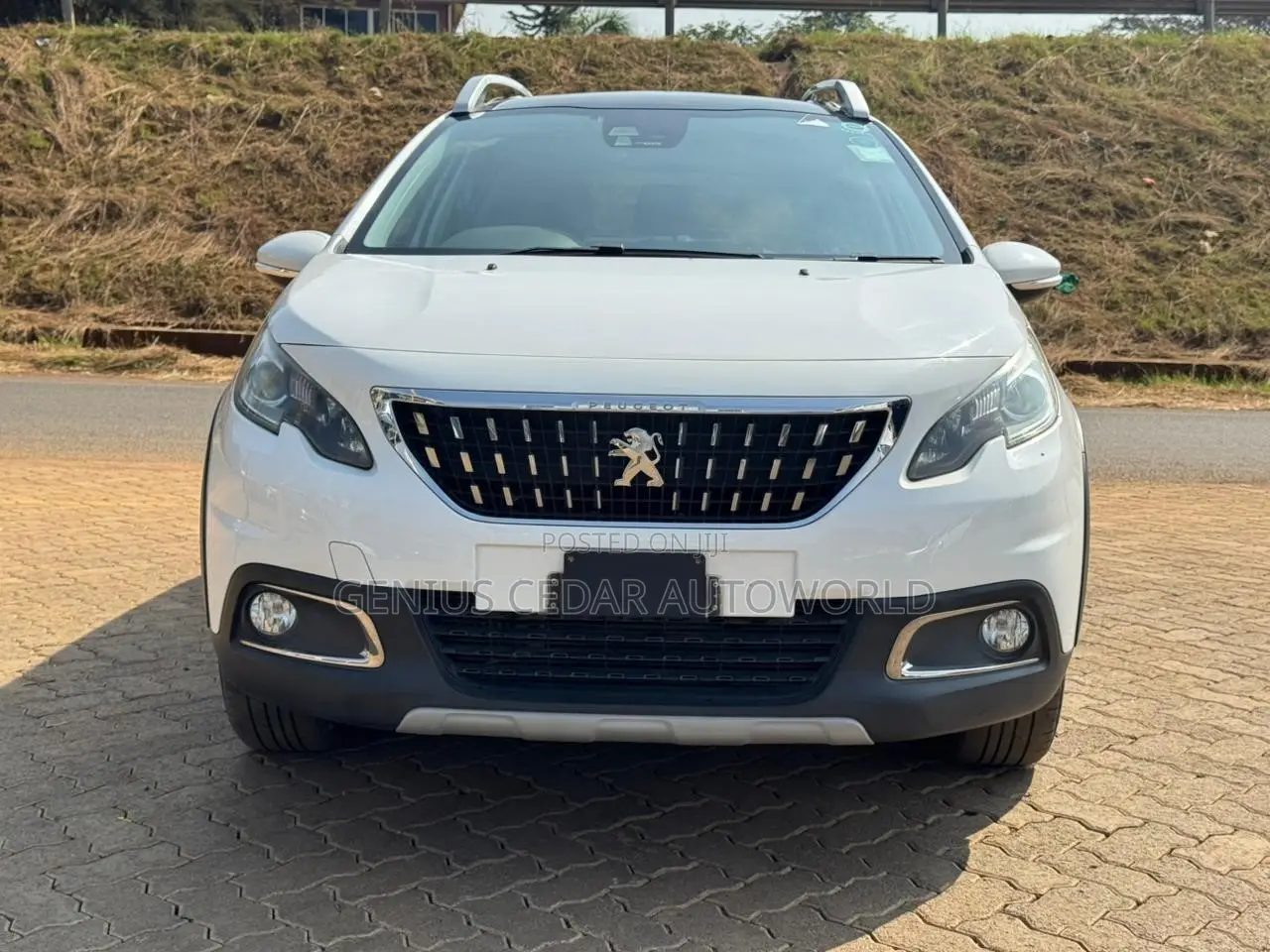 Peugeot 208 2019 White