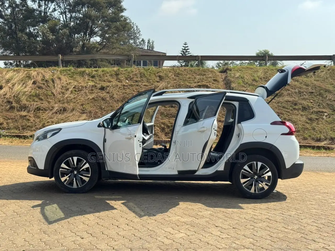 Peugeot 208 2019 White