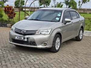 Toyota Axio 2014 Gray