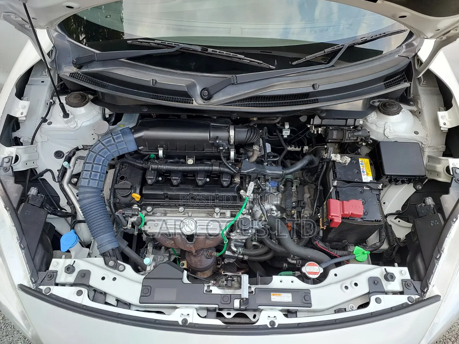 Suzuki Swift 2019  White 