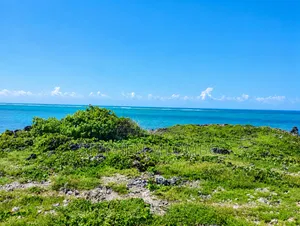 Beach Plot Mayungu, Malindi