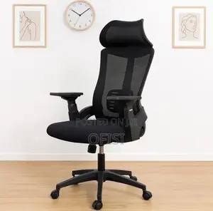 Office Chair; Lama Orthopedic Mesh Office Chair