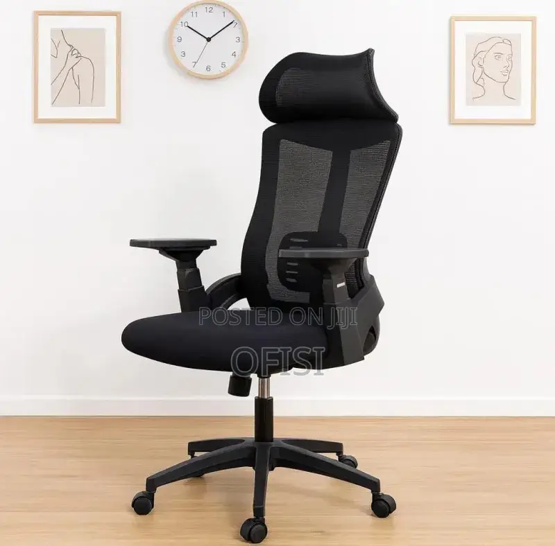 Office Chair; Lama Orthopedic Mesh Office Chair