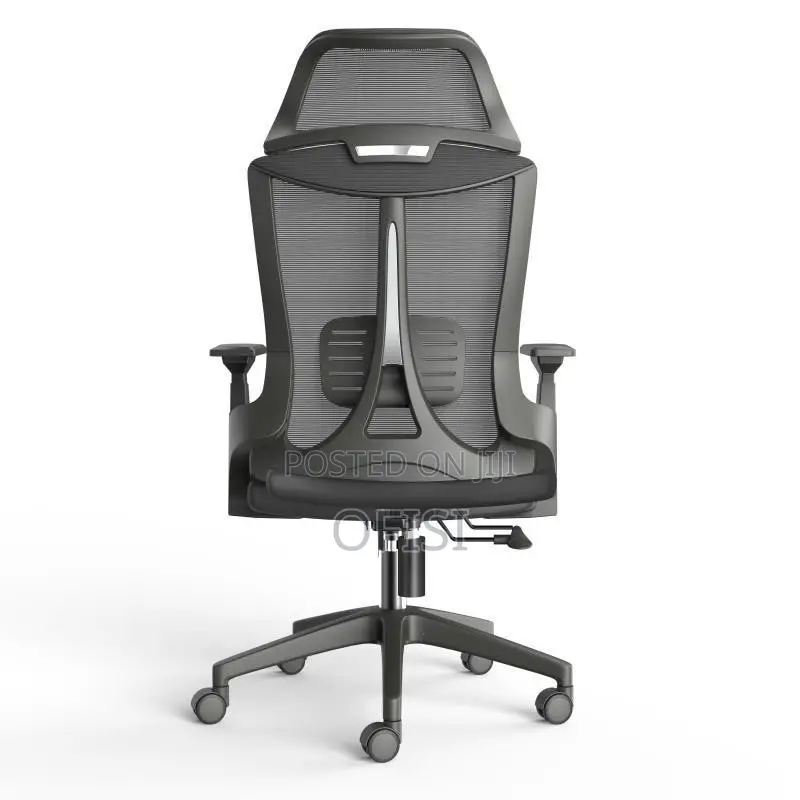 Office Chair; Lama Orthopedic Mesh Office Chair