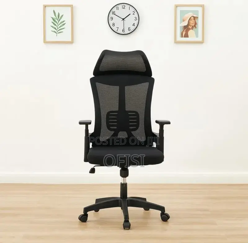 Office Chair; Lama Orthopedic Mesh Office Chair