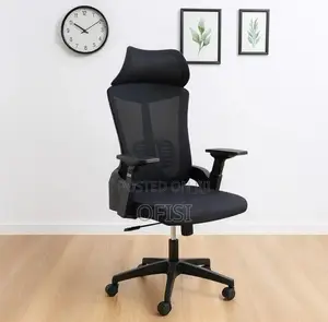 Office Chair; Lama Orthopedic Mesh Office Chair
