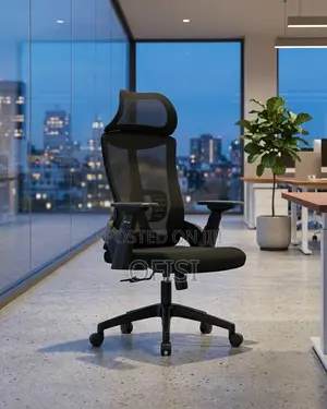Office Chair; Lama Orthopedic Mesh Office Chair