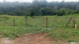 Village Inn Plot