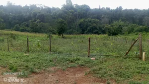 Village Inn Plot