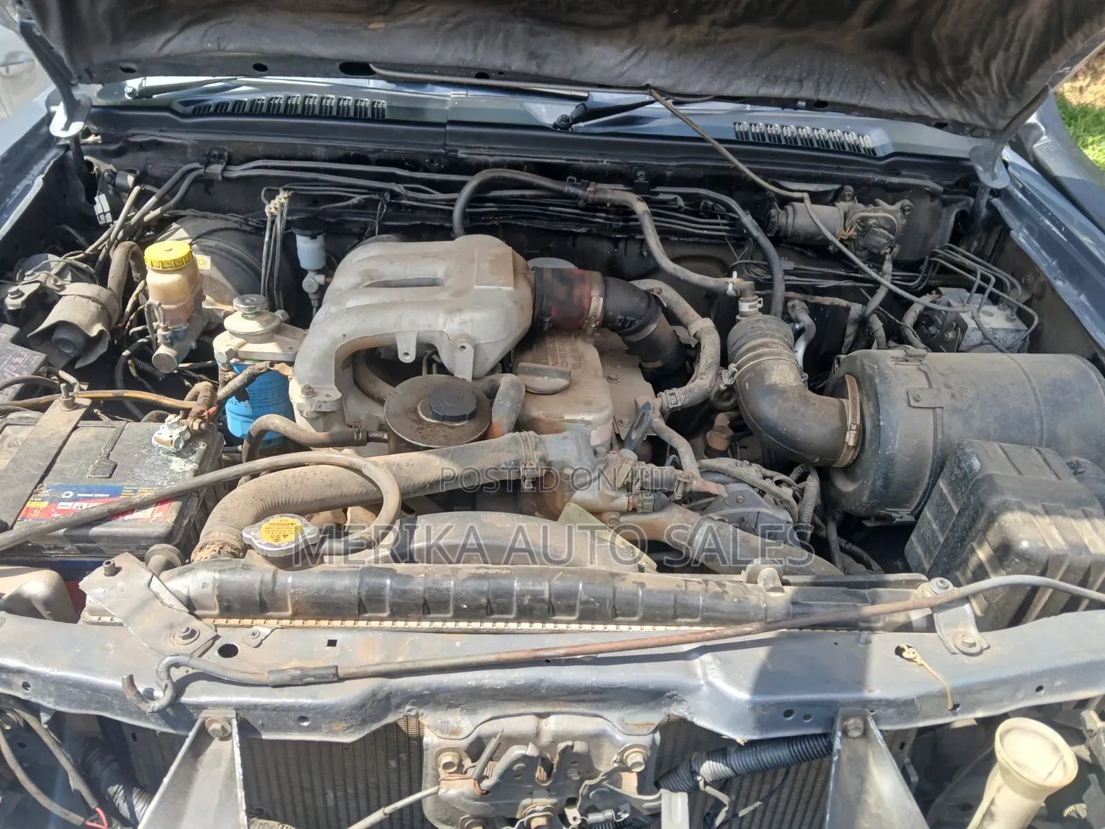 Nissan Hardbody 2003 Gray