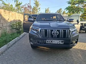 Toyota Land Cruiser Prado 2010 Gray