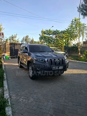 Toyota Land Cruiser Prado 2010 Gray