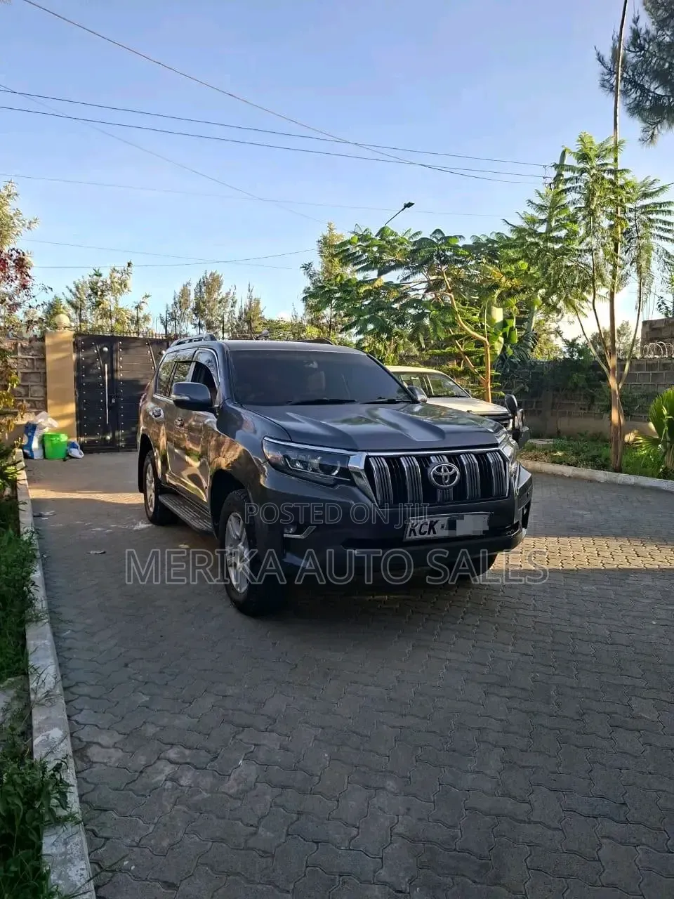 Toyota Land Cruiser Prado 2010 Gray