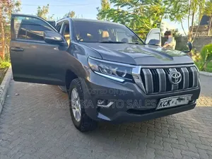 Toyota Land Cruiser Prado 2010 Gray