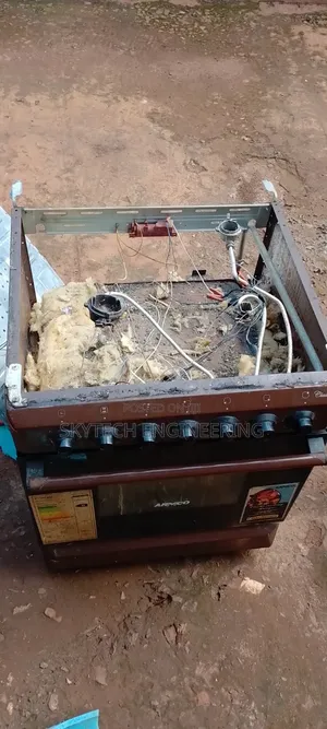 Electric and Gas Cooker