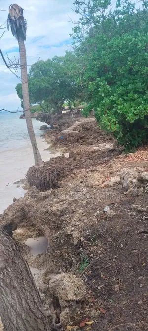 5 Acres Beach Plot in Galu-Diani