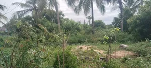 5 Acres Beach Plot in Galu-Diani