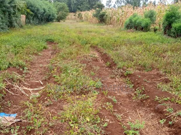 1/4 Acre Kagio Gitooini 