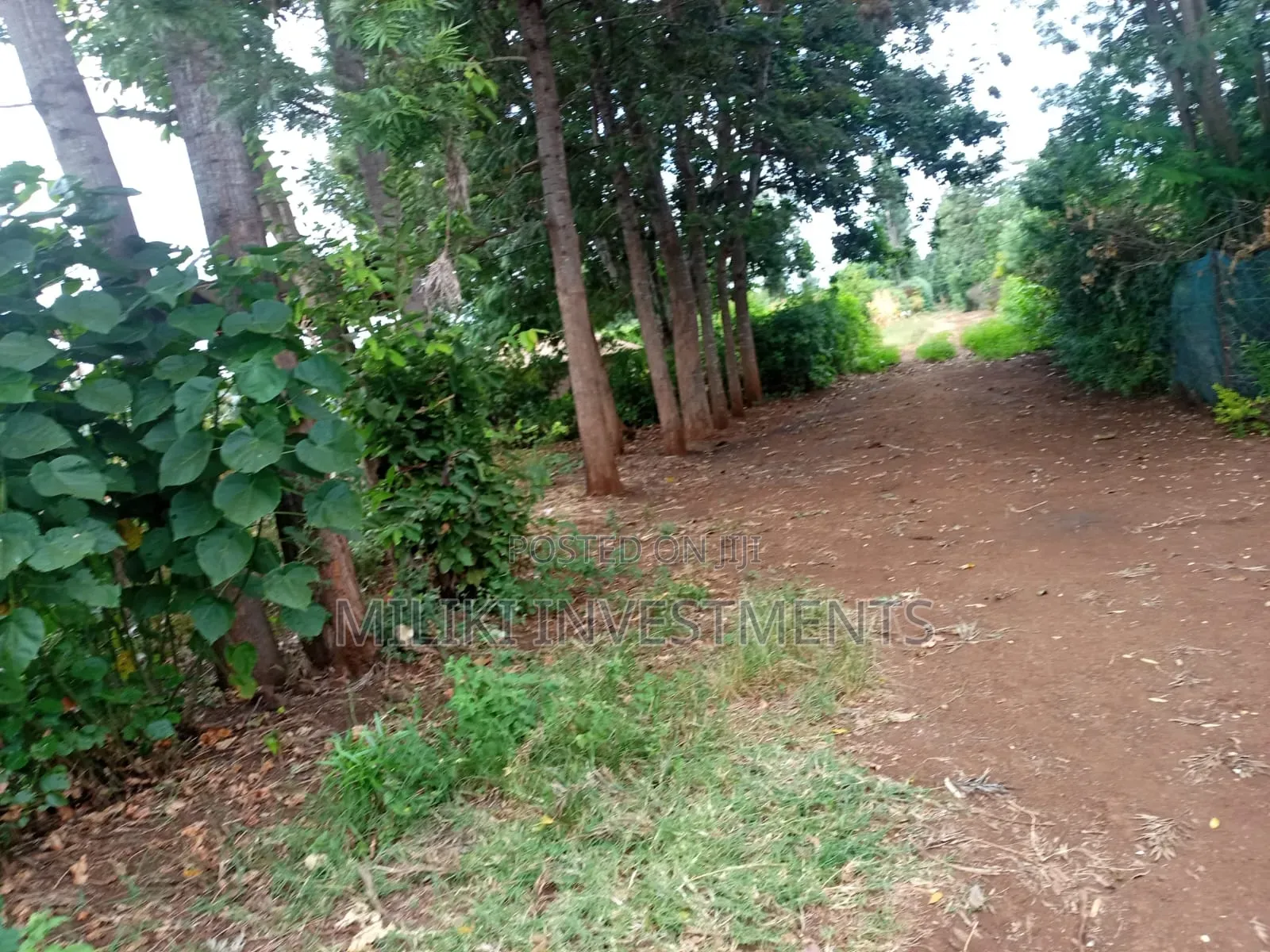 1/4 Acre Kagio Gitooini 