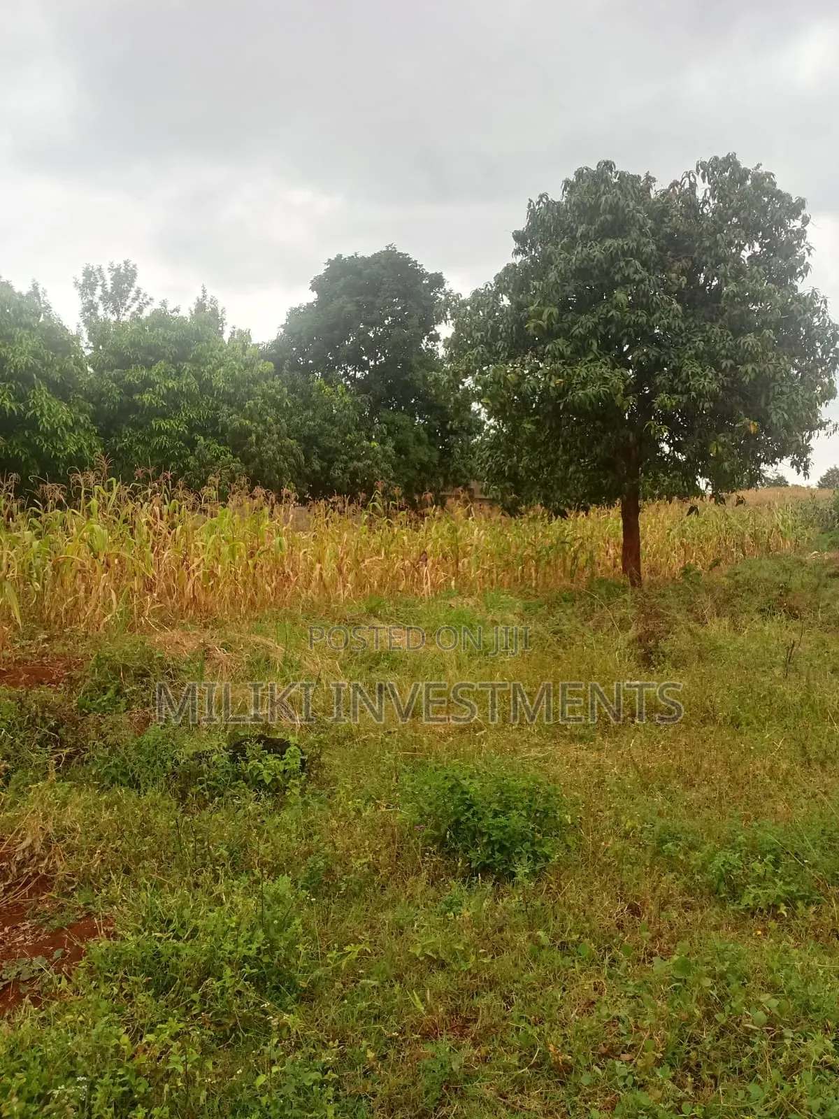 1/4 Acre Kagio Gitooini 