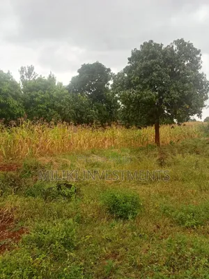 1/4 Acre Kagio Gitooini 