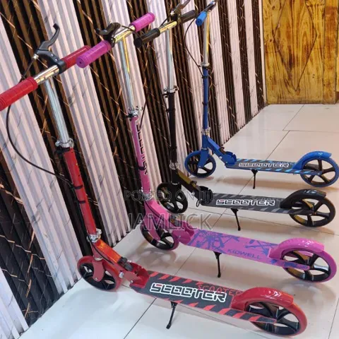 Teens Metallic Scooter With Brakes – Tp