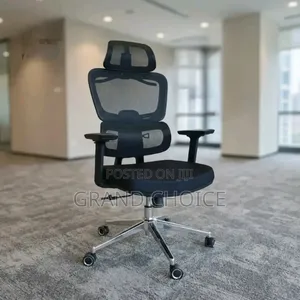 Orthopaedic Stylish Office Chair