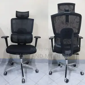 Orthopaedic Stylish Office Chair