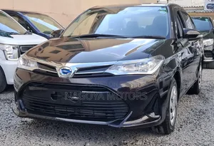Toyota Axio 2018 Burgundy