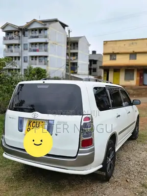 Toyota Succeed 2007 White