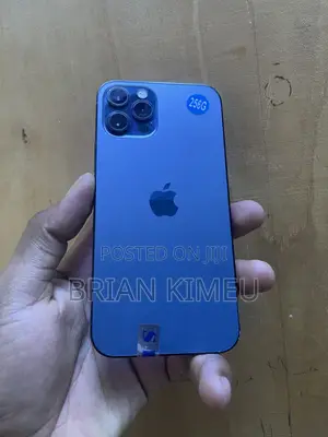 Apple iPhone 12 Pro 256 GB Blue
