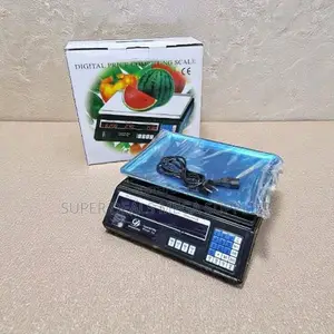 Stable Performance Acs 40 Upto 40kgs Electronic Digital Weighing Scale