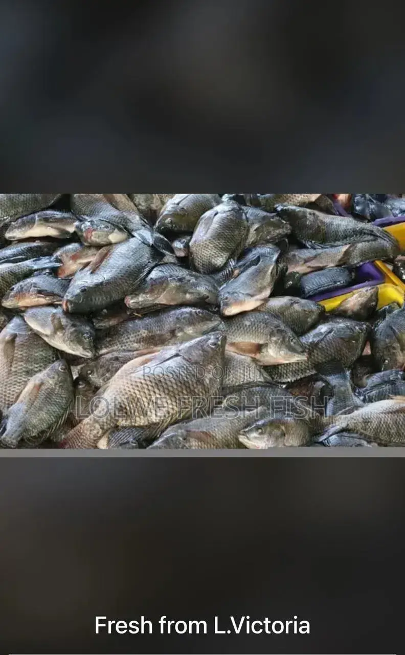 Lolwe Fresh Fish
