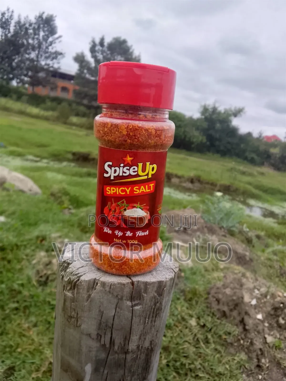 Spiseup Spicy Salt
