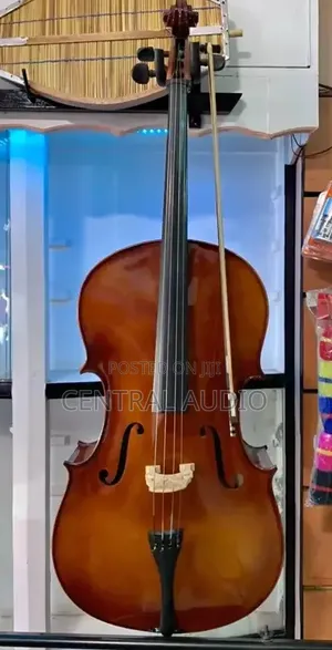 Stentor Full Size Cello Instrument