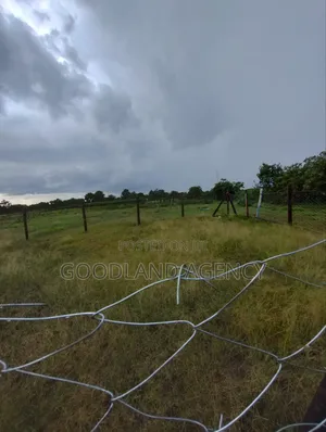 40×80 (0.032ha) Plot in Nguluni
