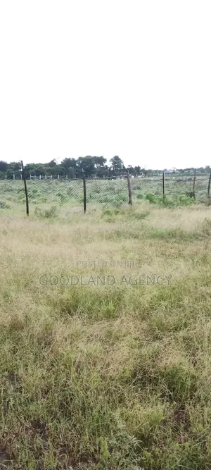 40×80 (0.032ha) Plot in Nguluni