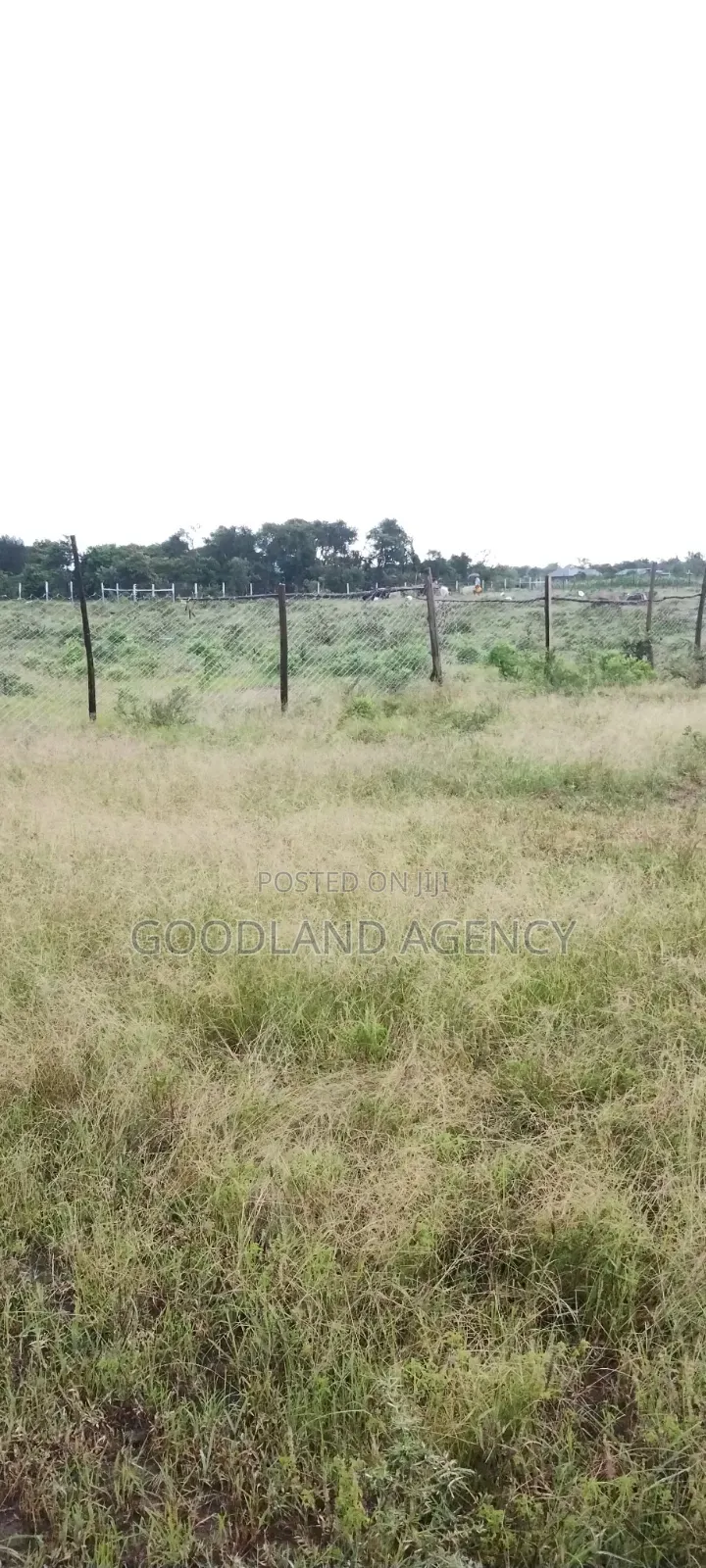 40×80 (0.032ha) Plot in Nguluni
