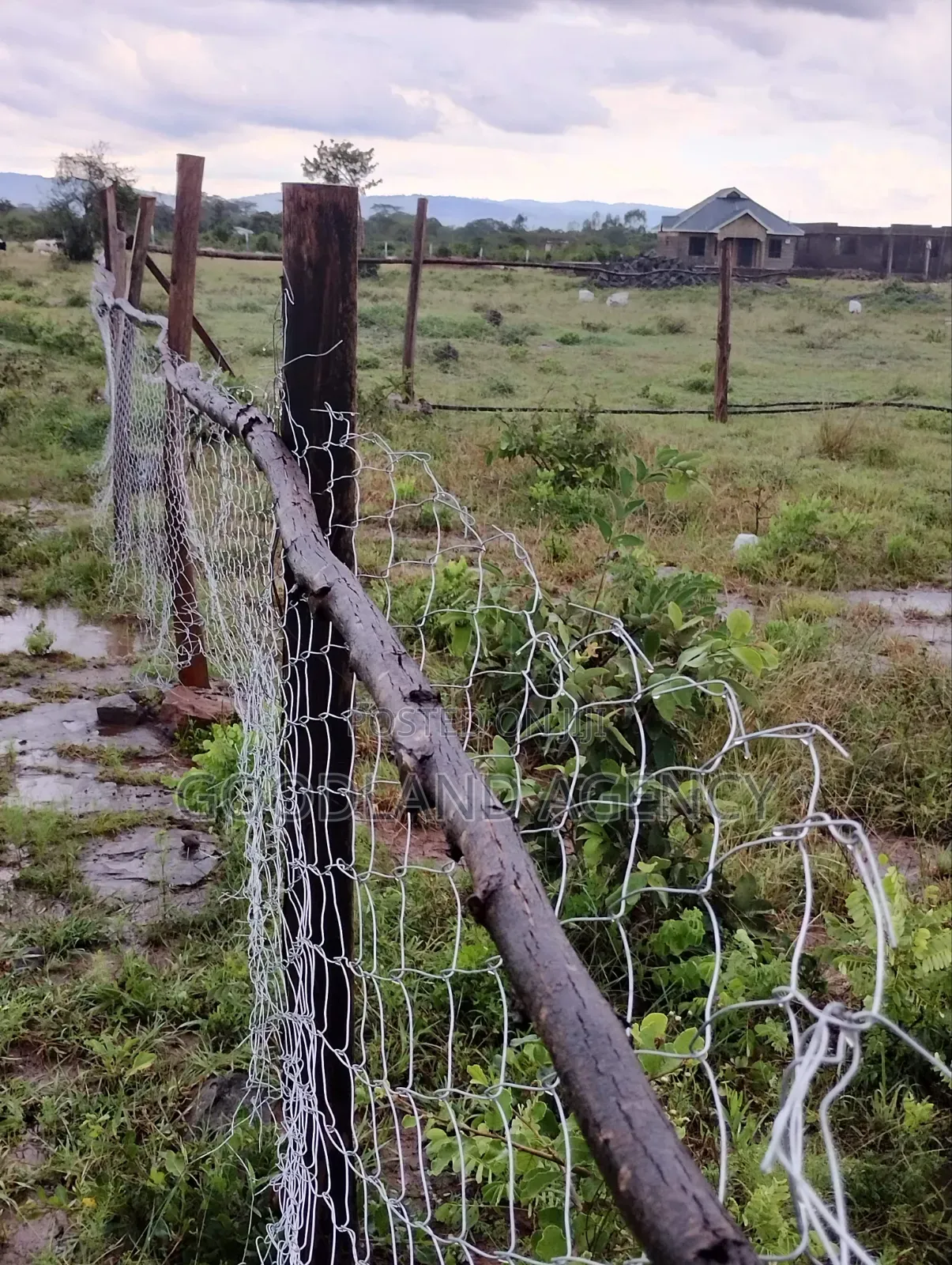 40×80 (0.032ha) Plot in Nguluni