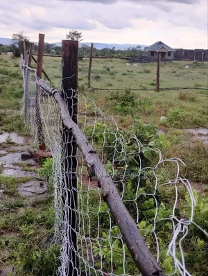 40×80 (0.032ha) Plot in Nguluni