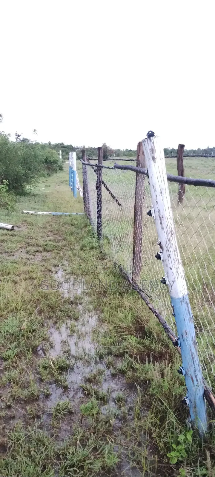 40×80 (0.032ha) Plot in Nguluni