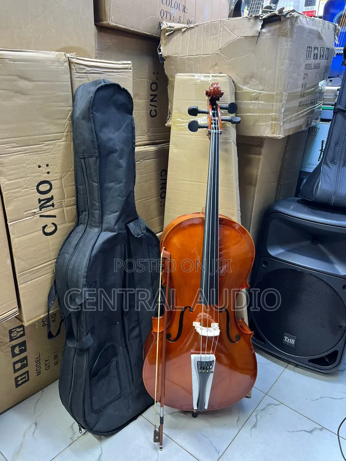 Professional Brand New Cello Instrument 4/4