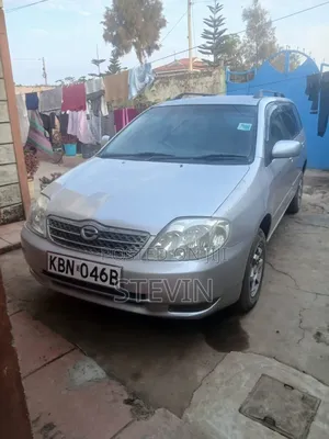 Toyota Corolla Fielder 2006 Silver