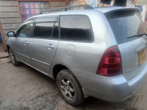 Toyota Corolla Fielder 2006 Silver