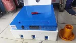 64 Eggs Capacity Automatic Incubator With Auto Turning for Poultry .